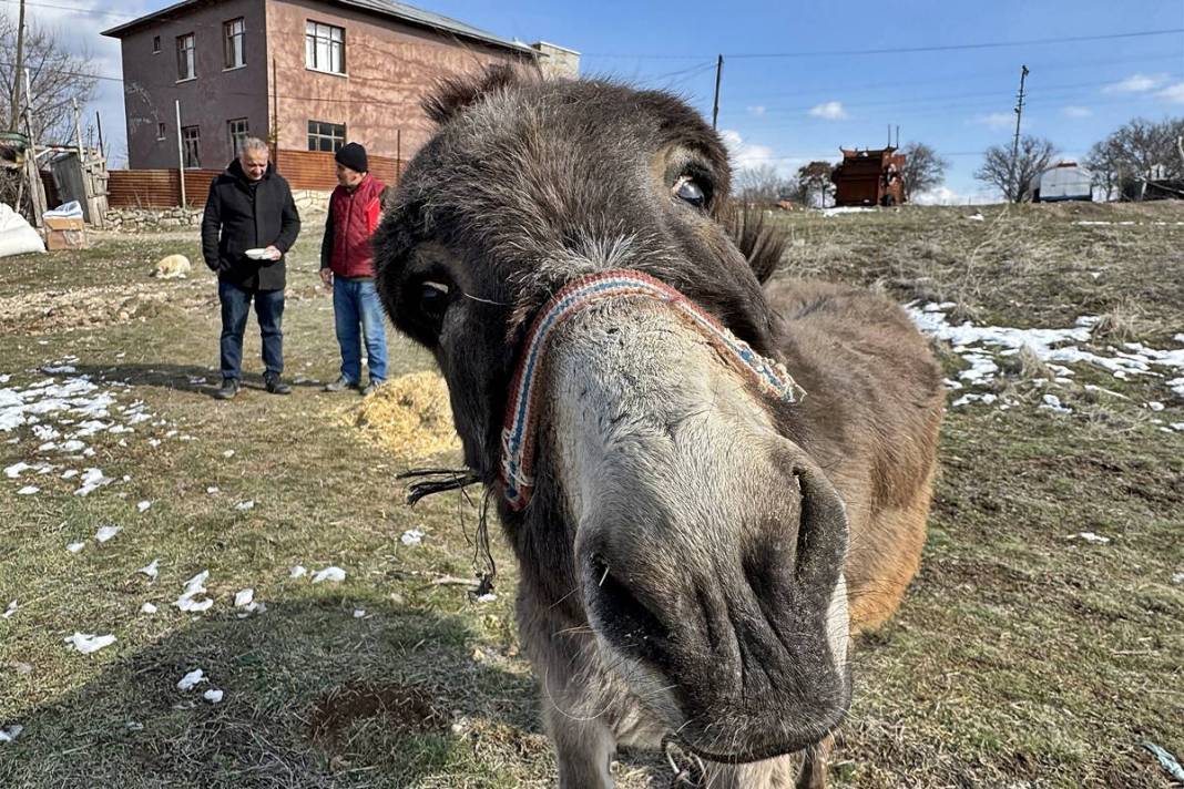 Hikayesi duyulunca Türkiye'nin her yerinden destek yağdı! 72 yaşında, 21 yıldır usanmıyor bıkmıyor 8